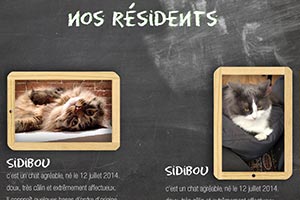 miniature de mon image